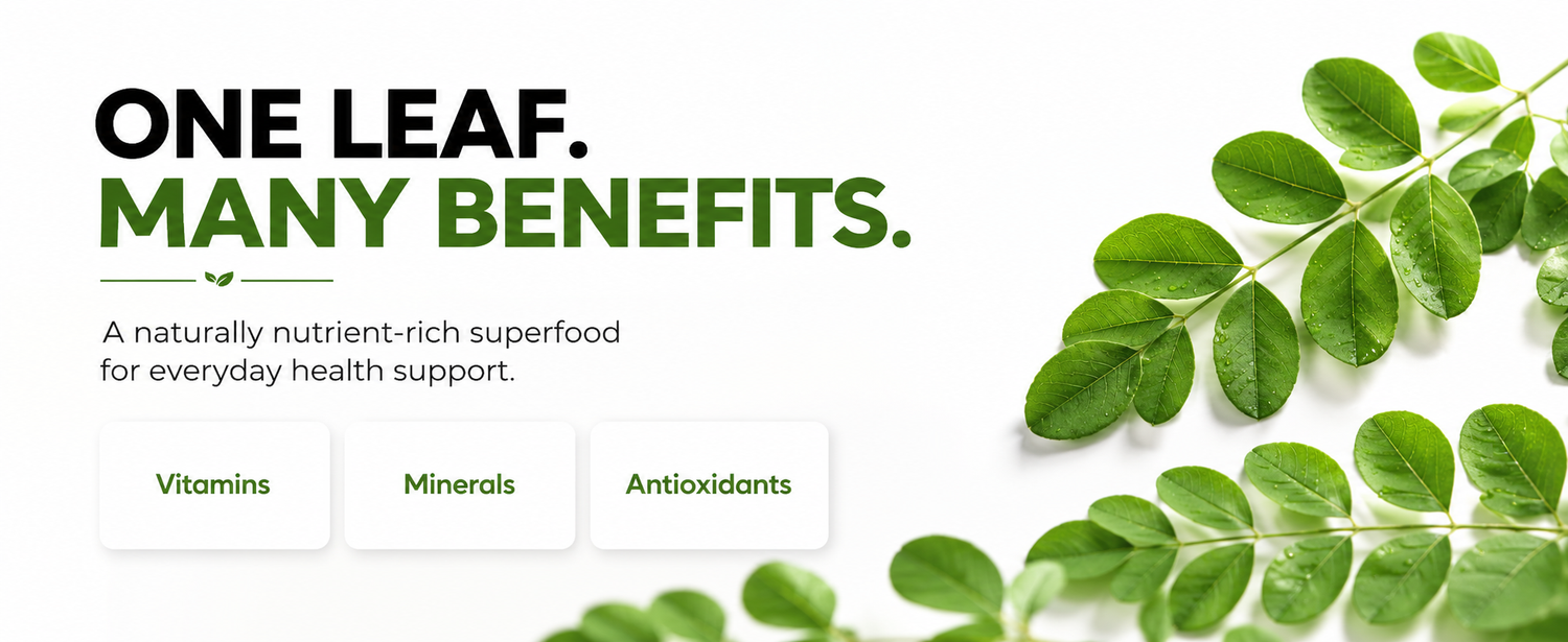 Green leafy plant with text about vitamins, minerals, and antioxidants on a white background