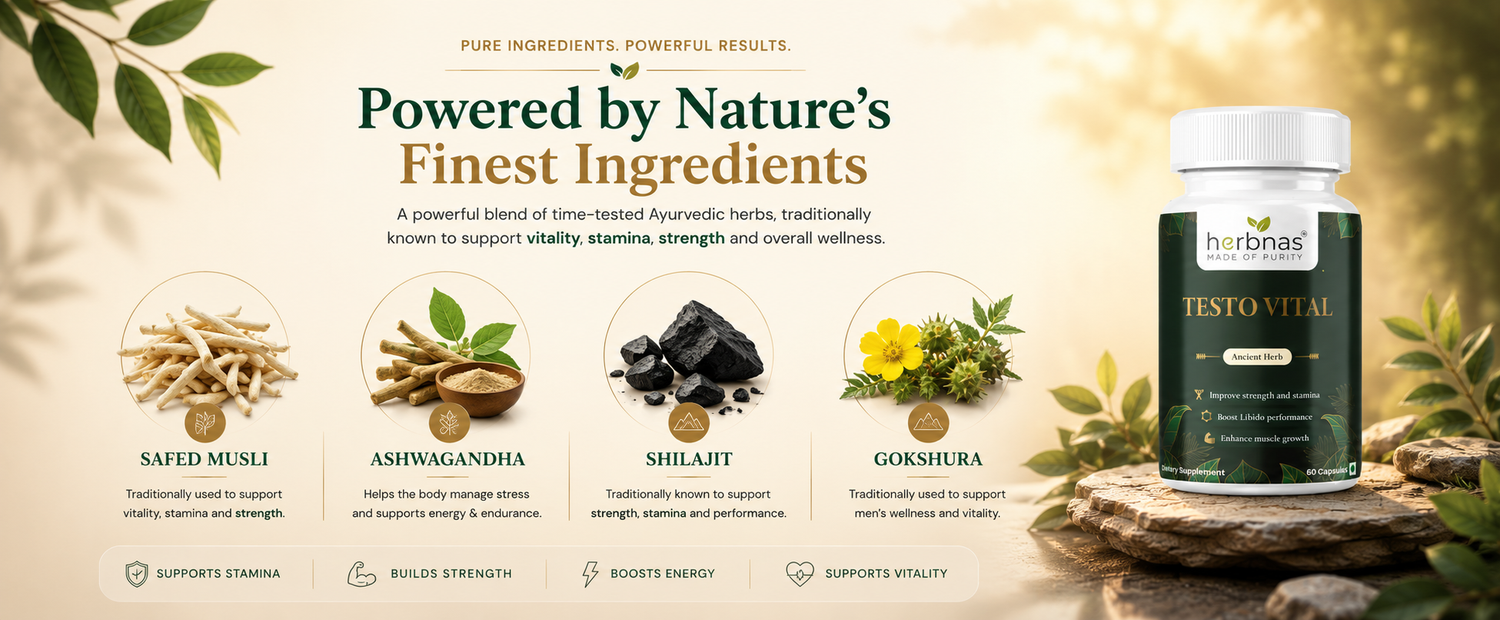 Herbnas TestoVital supplement bottle shown on a styled golden background with ingredient callouts including safed musli, ashwagandha, shilajit, and gokshura.