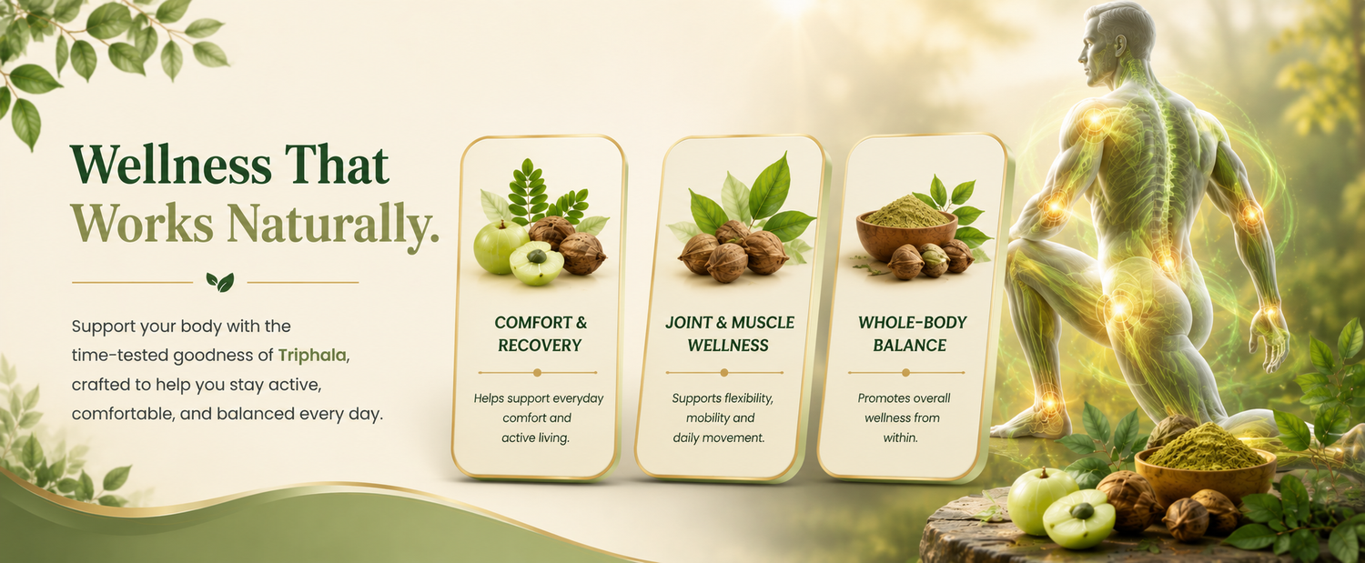 A wellness banner with the headline 'Wellness That Works Naturally.' and four product panels labeled Comfort & Recovery, Joint & Muscle Wellness, and Whole-Body Balance.