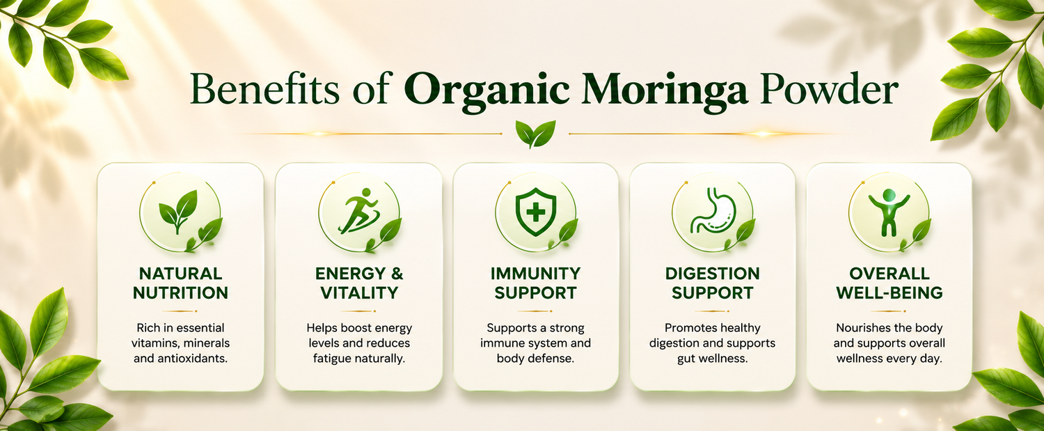 A promotional banner for organic moringa powder, featuring the title 'Benefits of Organic Moringa Powder' above five rounded white panels that list benefits: natural nutrition, energy & vitality, immunity support, digestion support, and overall well-being. Decorative green leaves frame the top and bottom on a light cream background.