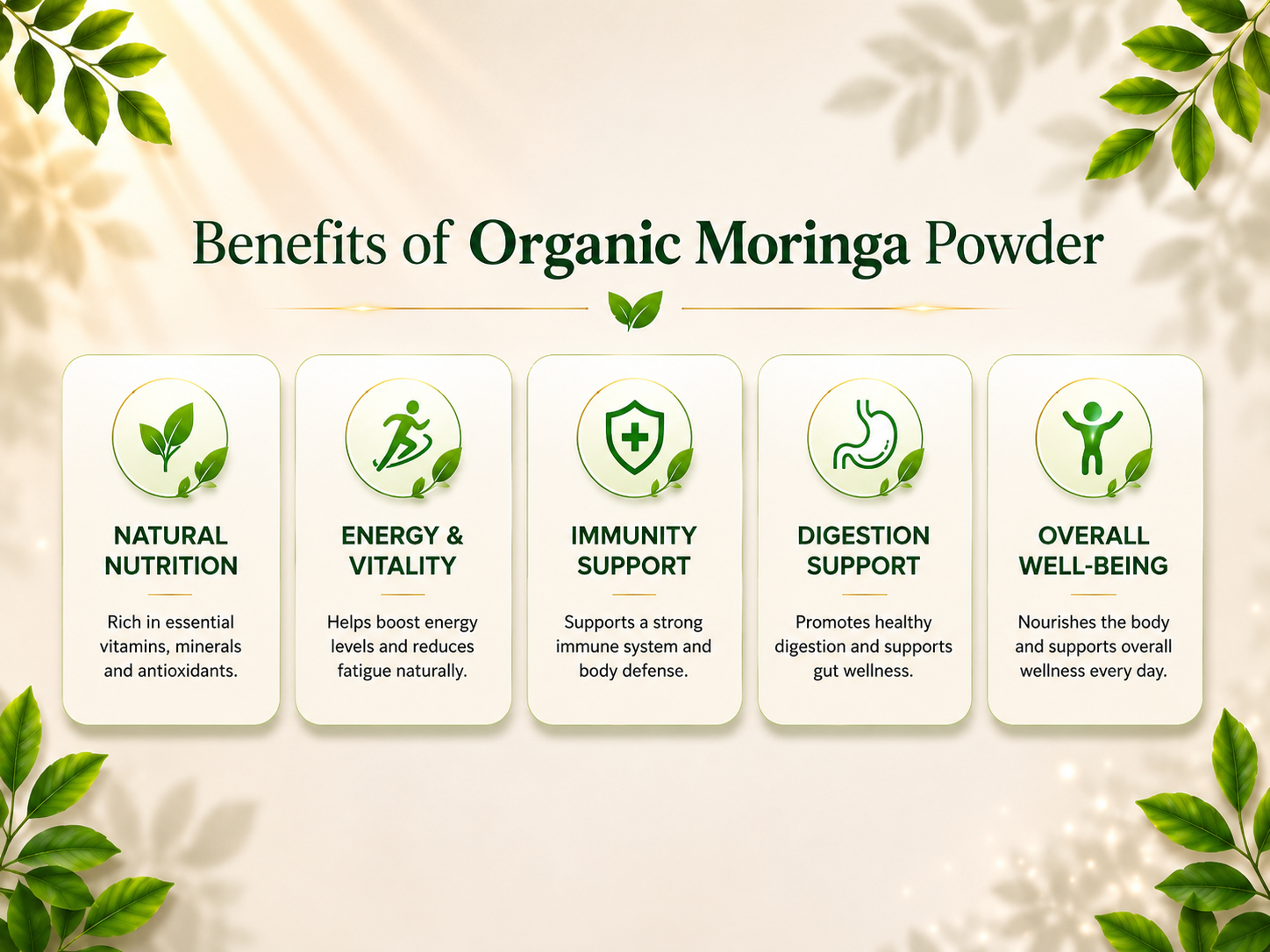 An infographic titled 'Benefits of Organic Moringa Powder' on a warm cream background with decorative green leaves. It features five rounded white panels listing benefits: Natural Nutrition, Energy & Vitality, Immunity Support, Digestion Support, and Overall Well-Being, each with a green icon.