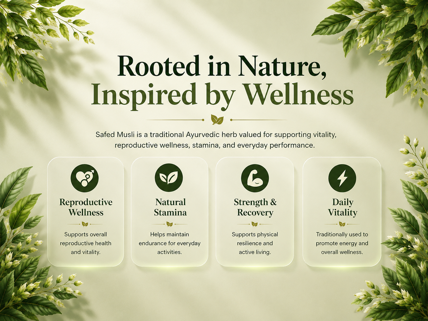 A promotional graphic for Safed Musli, featuring four rounded white cards detailing its benefits: Reproductive Wellness, Natural Stamina, Strength & Recovery, and Daily Vitality. The graphic is styled with green leaves along the borders and a soft, light beige background with sunburst light effects.