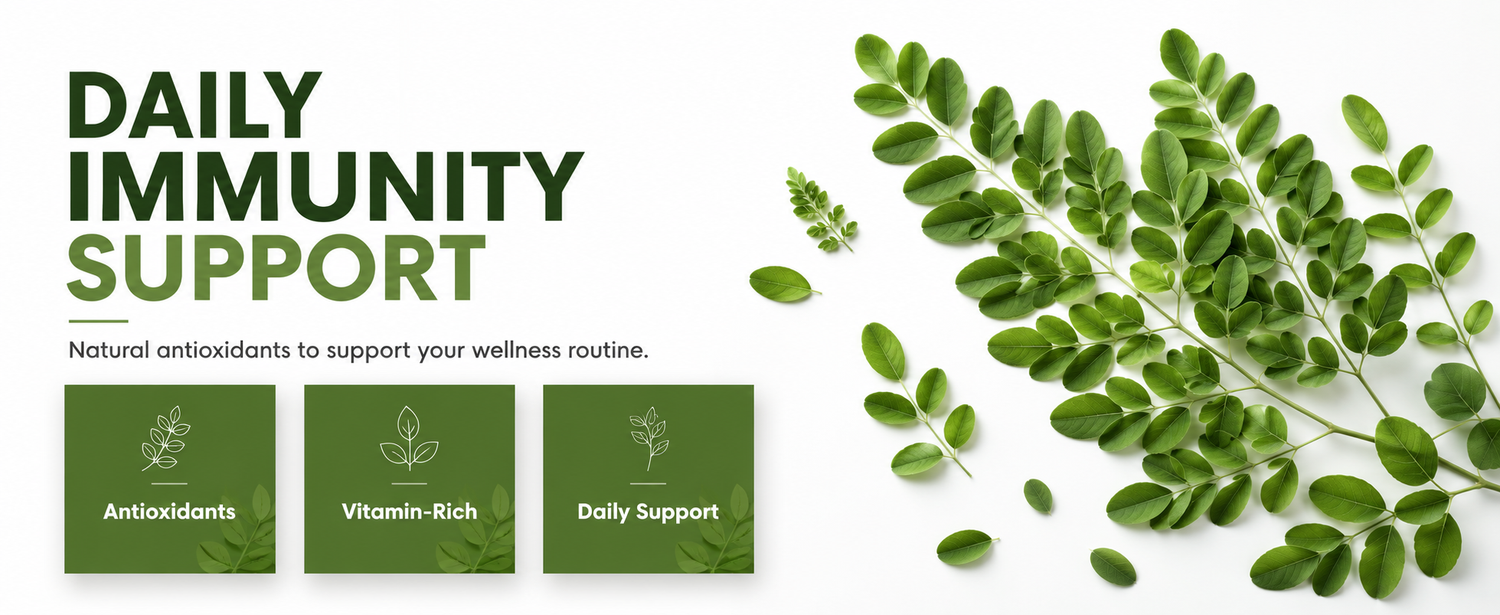 Green leafy plant with 'Daily Immunity Support' text and product boxes on a white background