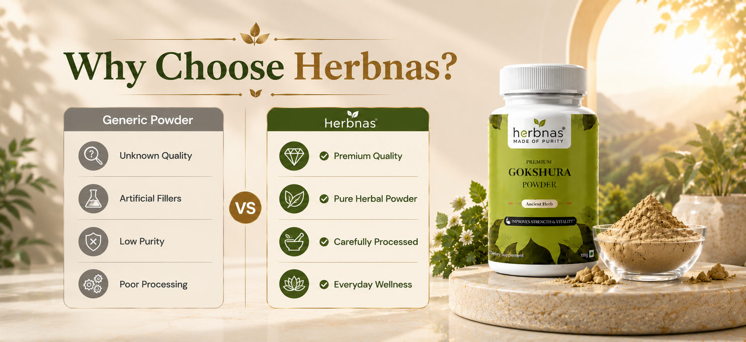 A supplement bottle labeled Herbnas Lycopodium Premium next to a comparison chart titled 'Why Choose Herbnas?' on a warm, softly lit background with herbs and loose powder.