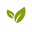 Herbnas: Premium Plant-Based Health Products for a Healthier You logo