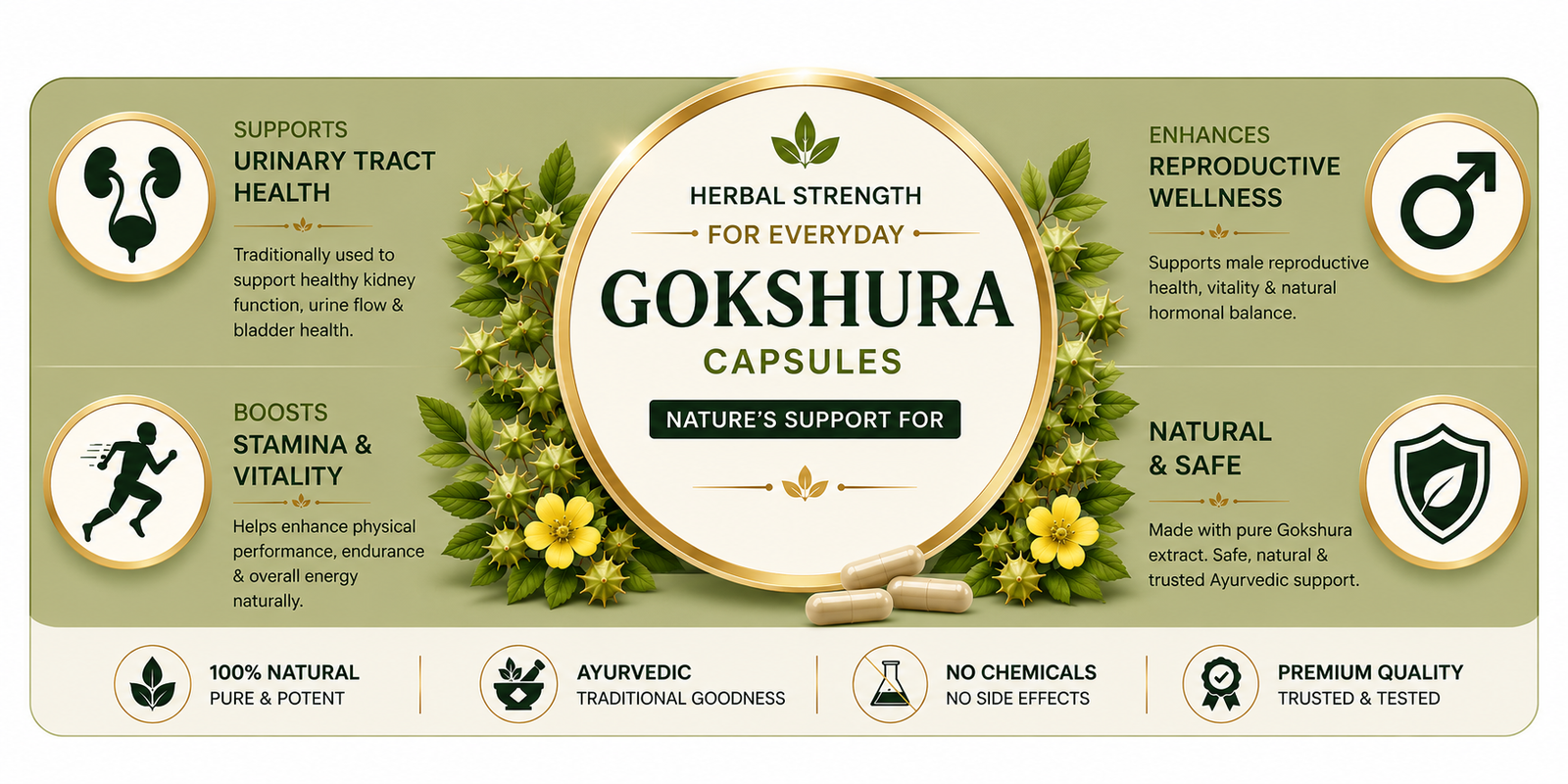 A promotional banner for Gokshura Capsules, featuring a central gold circular badge with the product name, surrounded by green leaves and yellow flowers. The background is a muted sage green, with various health and wellness icons and text detailing the benefits of the capsules.