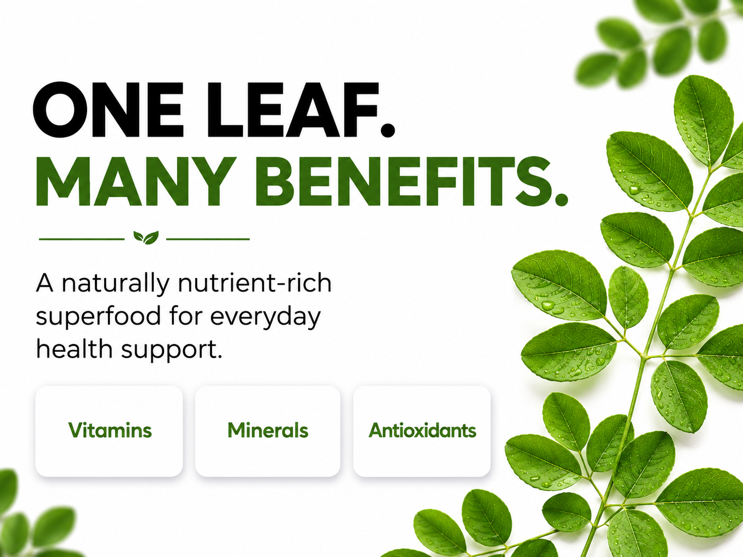 Promotional graphic with green leaves and text about the benefits of a naturally nutrient-rich superfood.