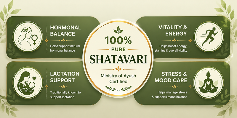An infographic-style promotional graphic for Shatavari, with a central cream circle reading '100% Pure Shatavari' and surrounding dark green panels describing benefits such as hormonal balance, lactation support, vitality and energy, and stress and mood care. No physical product is shown, and this is not a measurement chart, color swatch, or instruction diagram.